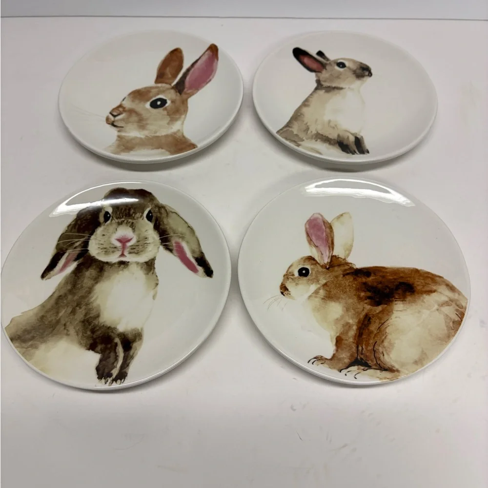 Arlington Designs Easter Bunny dessert appetizer Plates - Set of 4